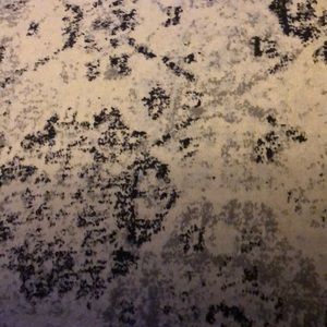 Meet your Posher, Kelli